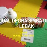 Jual Degra Simba di Kabupaten Lebak