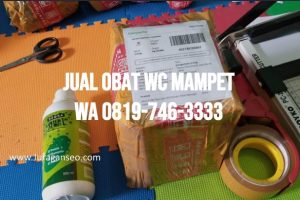 Jual Obat WC Mampet di Kabupaten Lembata